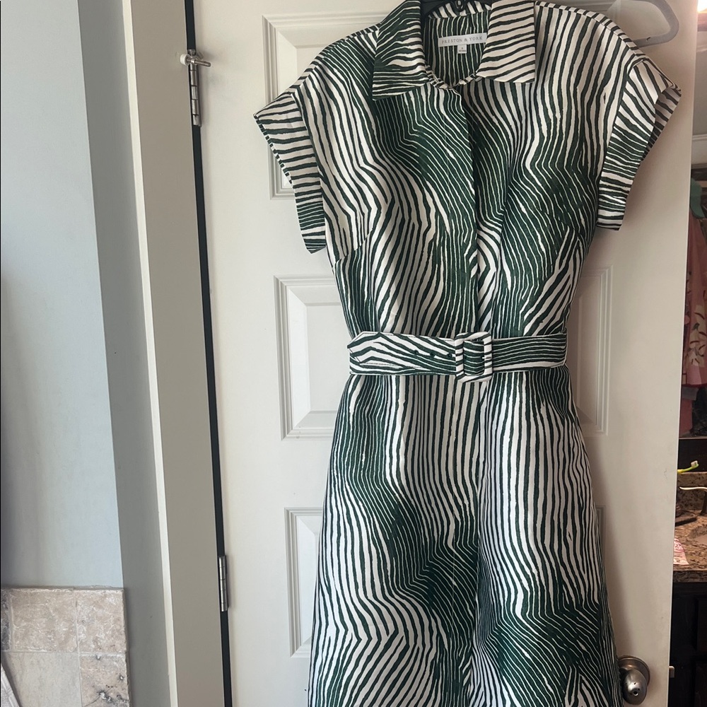 Preston & York Striped Green and White Midi Dress